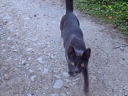 Another friend