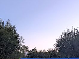 Evening