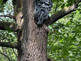 Green man trail