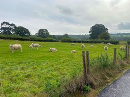 Neighbours