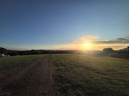 The view in the morning
