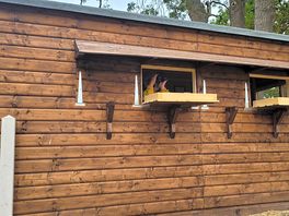 Wildlife lookout
