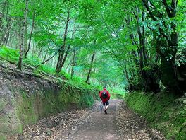 Walk to horner