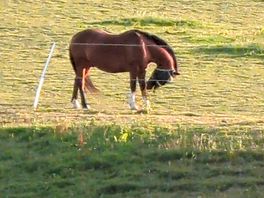 Our veiw