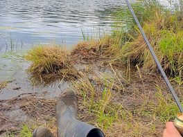 Good fishing spot