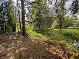View from the hammock area