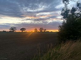 Lovely sunset