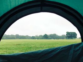 Lovely still morning