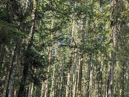 Hiking trails