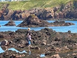 Great view from the bay of the park