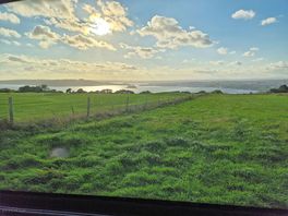 View from the van