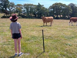 Cows! our daughters favourite, she wanted a cuddle so badly