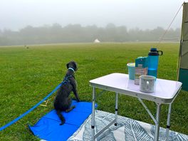 Misty morning