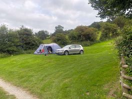 Terrace field