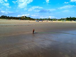 Strand, hunde zu jeder zeit unnd zu jeder saison erlaubt.