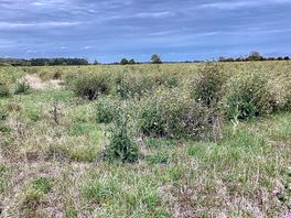 Field view