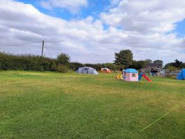 Simon's field