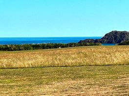 Ramsey island field view
