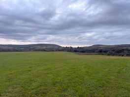 View from our tent