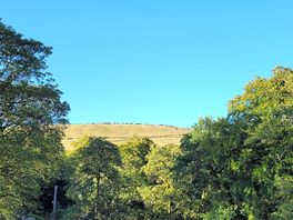 Great views