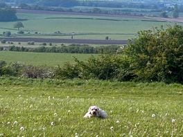 Enjoying the countryside