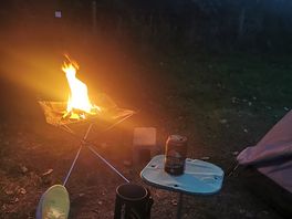 Peaceful delight under the stars