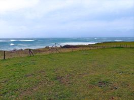 Pitches with sea views