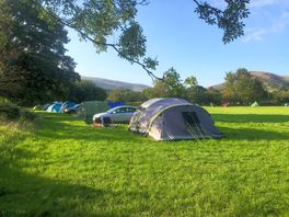 Busy bank holiday on the meadow field