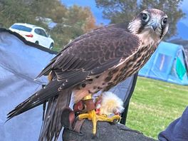 Everyone loved meeting the bird and hearing about it