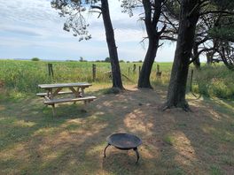 Fire pit and table on each pitch