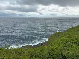 Coastal walk