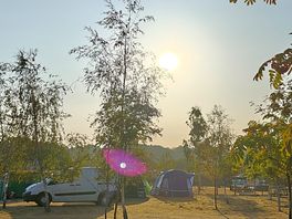Morning at small trees camping