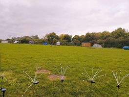 The field