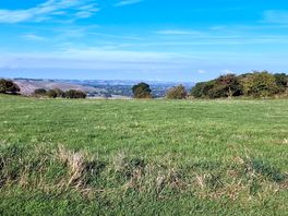 View from the pretty field