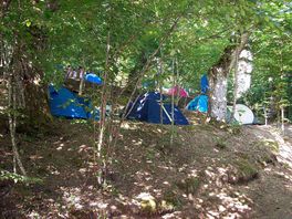 Tents in the chestnut grove