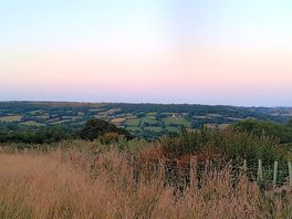 The view
