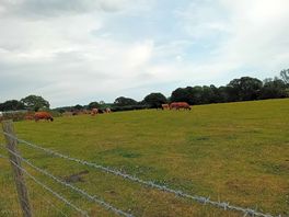 Lovely views
