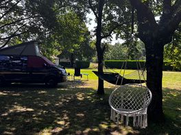 Hammocks and tree swing