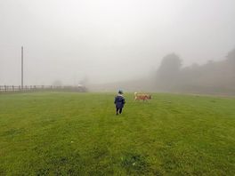 Misty morning