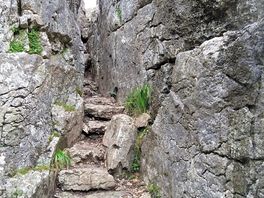 Fairy steps. near to site.