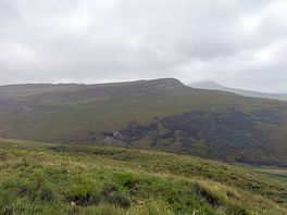 Walk near campsite