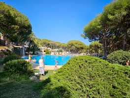 Piscine avec herbe pour se faire dore sous le soleil 😉