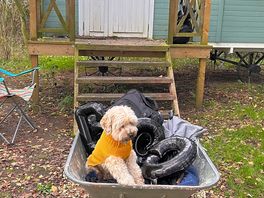 Woodpecker shepherds hut wheelbarrow available to transport camping items from car to hut.