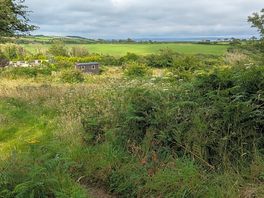 A view from the loo!