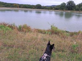 Stratton reservoir