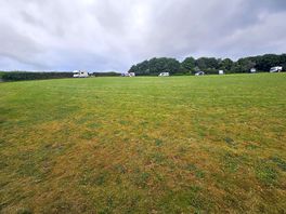 Looking up field from showers