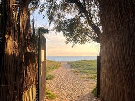 View out from campsite to sea