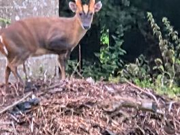 Meet the locals.
