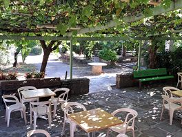 Terrasse ombragée