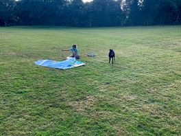 So much space for kids and dogs to play. a very clean site